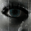 abelardopardo's Avatar
